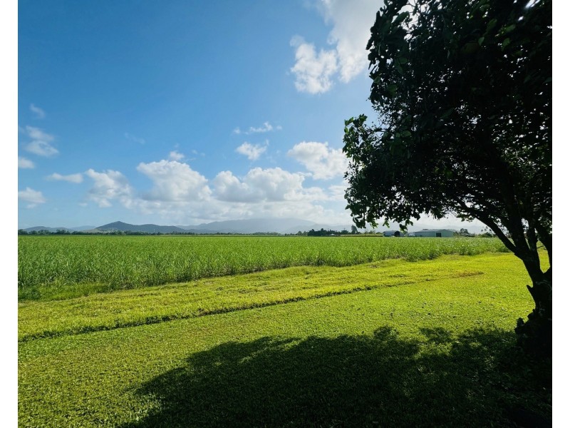 305 Silkwood Japoon Rd, Silkwood QLD 4856