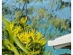 Unit 4/40 Wall St, South Mission Beach QLD 4852