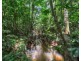 582 Bingil Bay Rd, Bingil Bay QLD 4852