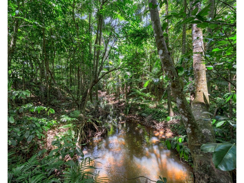 582 Bingil Bay Rd, Bingil Bay QLD 4852