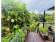 23 Jackey Jackey St, South Mission Beach QLD 4852