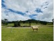 Lot 16 Bulgun Road, Feluga QLD 4854