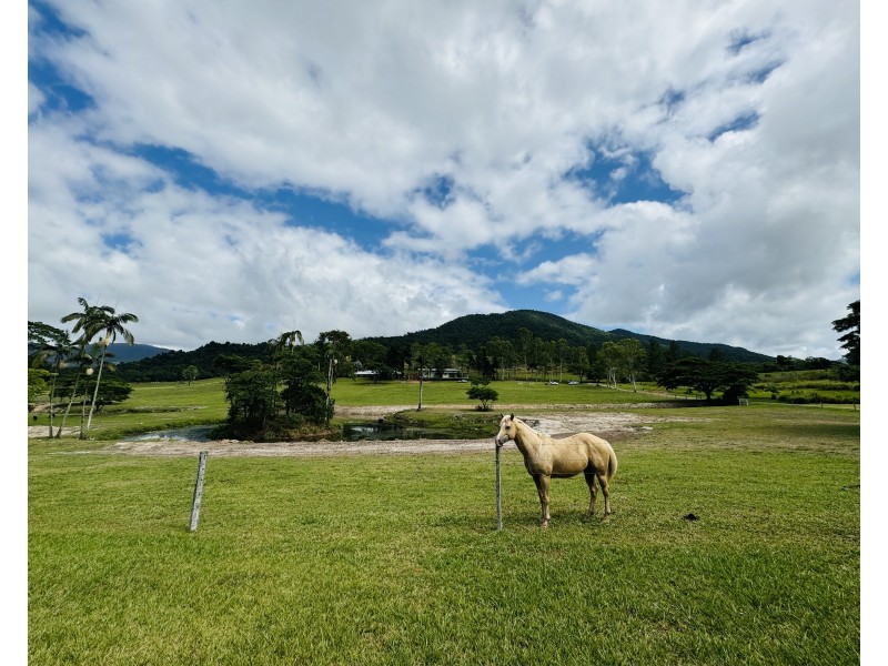 Lot 16 Bulgun Road, Feluga QLD 4854