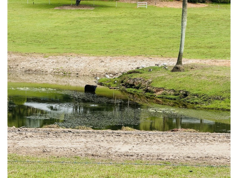 Lot 16 Bulgun Road, Feluga QLD 4854