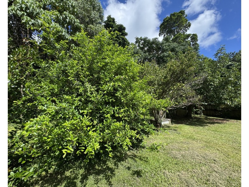 27 Cutten St, Bingil Bay QLD 4852
