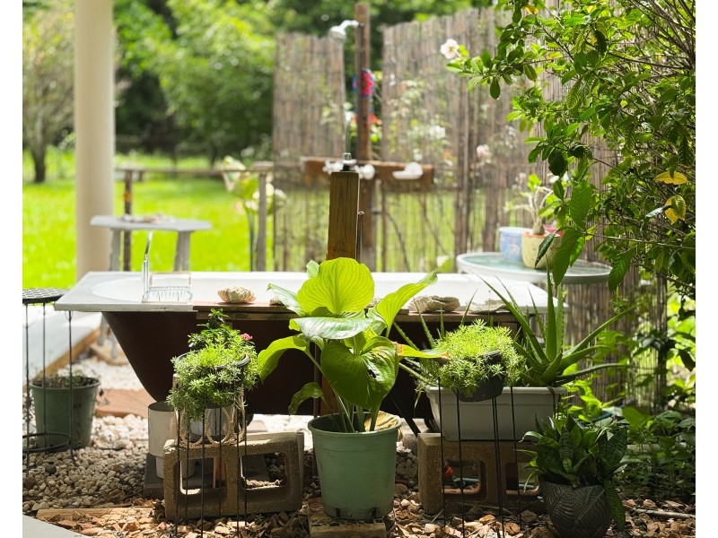 27 Cutten St, Bingil Bay QLD 4852