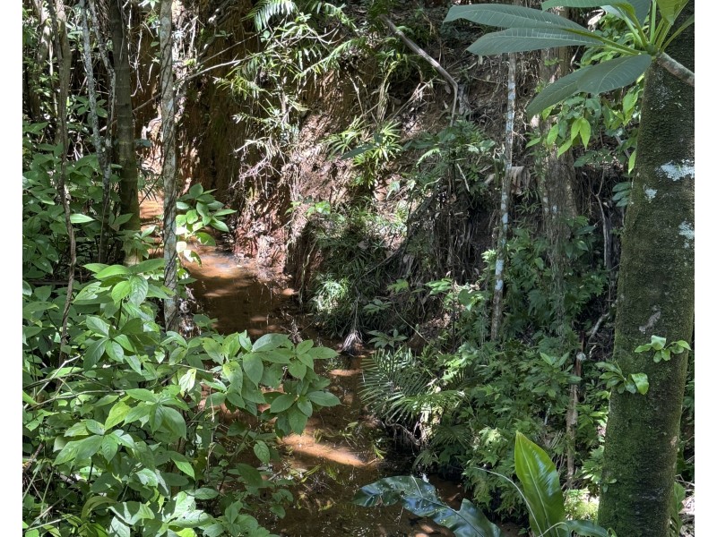 11A Kurrajong Cl, Wongaling Beach QLD 4852