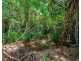 41 Reid Rd, Wongaling Beach QLD 4852