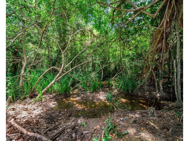 41 Reid Rd, Wongaling Beach QLD 4852