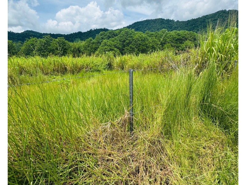 LOT 1 Jackson Rd, Shell Pocket QLD 4855