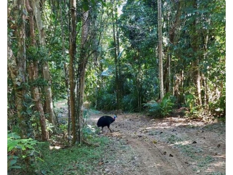 1377 El Arish Mission Beach Rd, Mission Beach QLD 4852