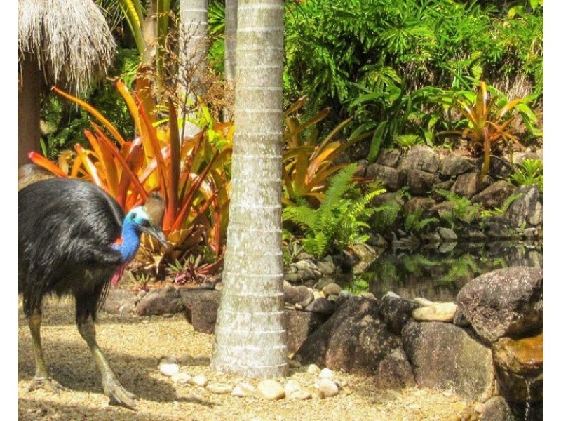 4/73 Explorers Drive, South Mission Beach QLD 4852