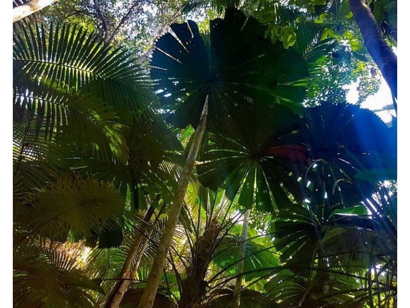 4/73 Explorers Drive, South Mission Beach QLD 4852