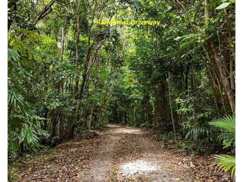 20 Plantation Drive, Bingil Bay QLD 4852