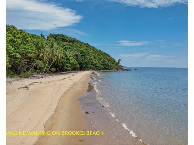 20 Plantation Drive, Bingil Bay QLD 4852