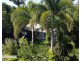 7 Kent Close, Mission Beach QLD 4852