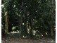 Lot 7 Bingil Bay Road, Midgeree Bar QLD 4852