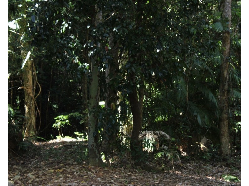 Lot 7 Bingil Bay Road, Midgeree Bar QLD 4852