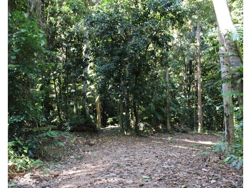 Lot 7 Bingil Bay Road, Midgeree Bar QLD 4852
