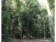 Lot 7 Bingil Bay Road, Midgeree Bar QLD 4852