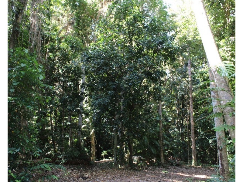 Lot 7 Bingil Bay Road, Midgeree Bar QLD 4852