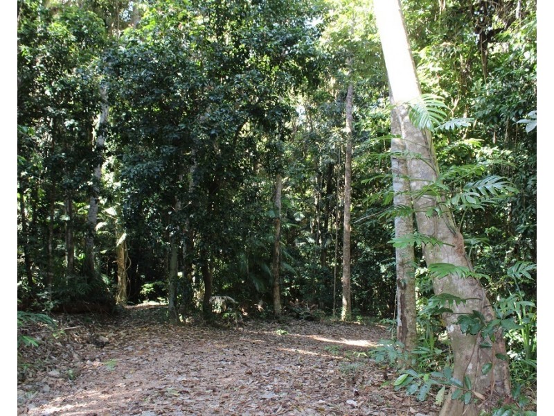 Lot 7 Bingil Bay Road, Midgeree Bar QLD 4852