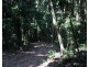 Lot 7 Bingil Bay Road, Midgeree Bar QLD 4852
