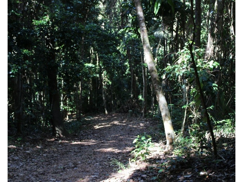 Lot 7 Bingil Bay Road, Midgeree Bar QLD 4852