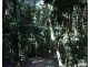 Lot 7 Bingil Bay Road, Midgeree Bar QLD 4852