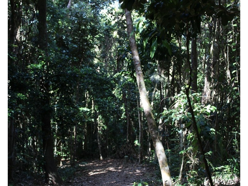 Lot 7 Bingil Bay Road, Midgeree Bar QLD 4852