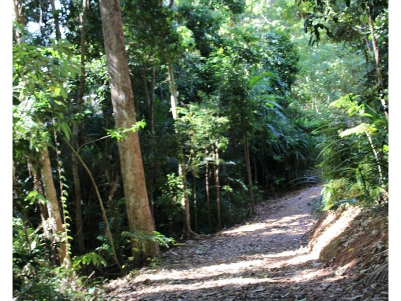 Lot 7 Bingil Bay Road, Midgeree Bar QLD 4852