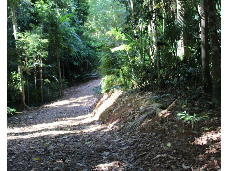 Lot 7 Bingil Bay Road, Midgeree Bar QLD 4852