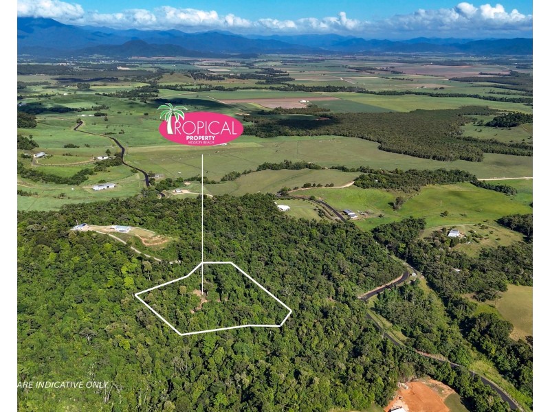 Lot 7 Bingil Bay Road, Midgeree Bar QLD 4852