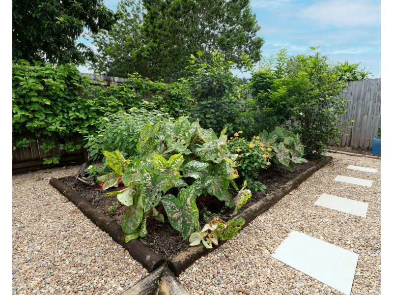 54 Shelly Ct, Mission Beach QLD 4852