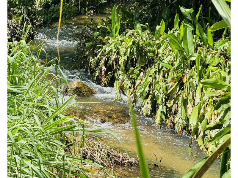 376 Tully Mission Beach Rd, Merryburn QLD 4854