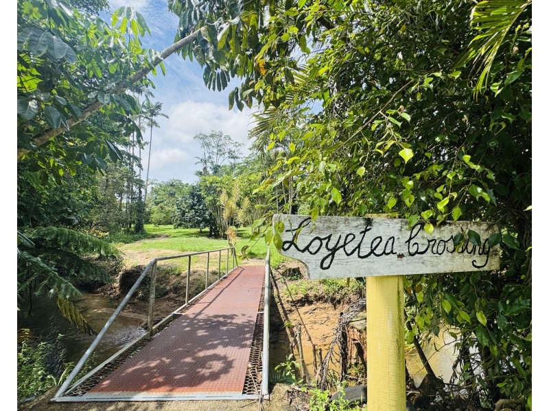 376 Tully Mission Beach Rd, Merryburn QLD 4854