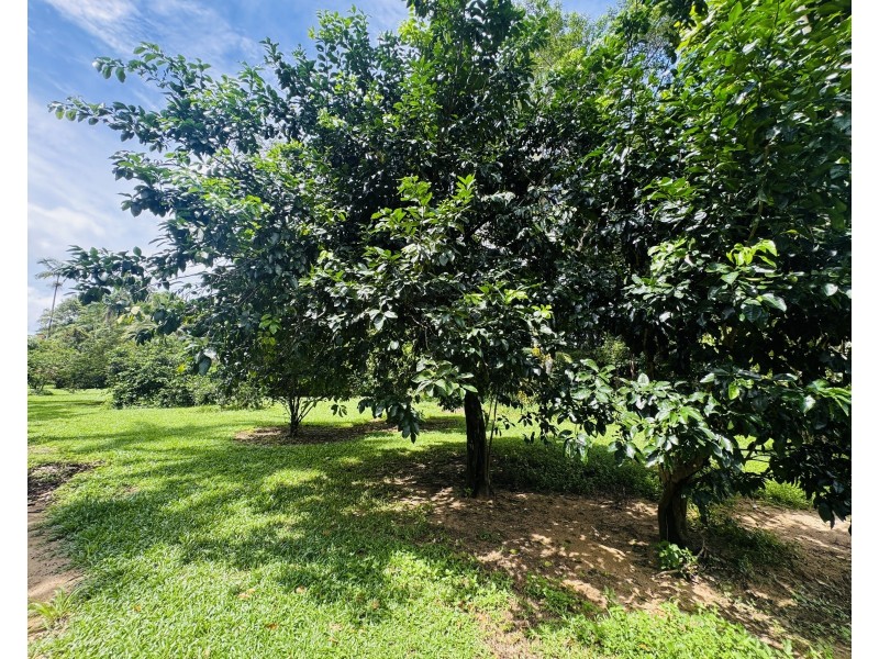 376 Tully Mission Beach Rd, Merryburn QLD 4854