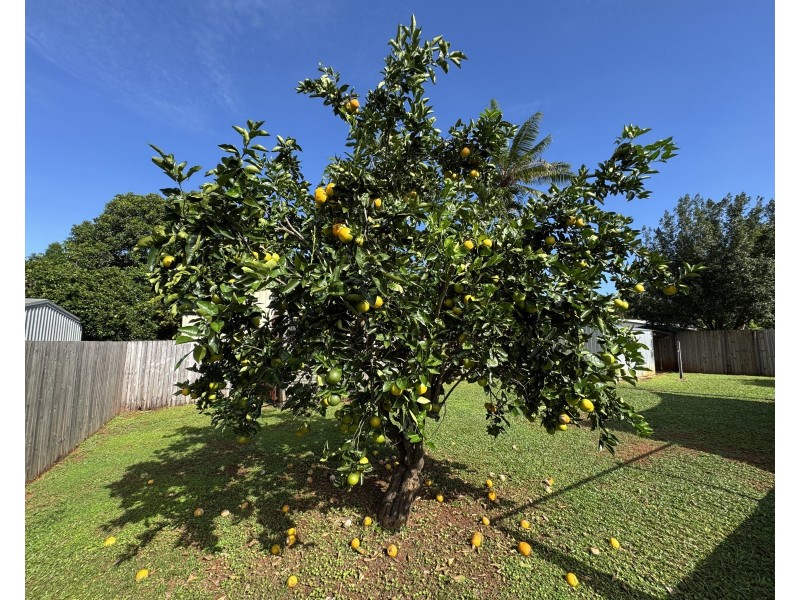 6 Yamala Cl, Mission Beach QLD 4852