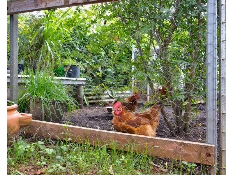 6 Lindquist Cl, Mission Beach QLD 4852