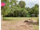 8 Volute Ct, Mission Beach QLD 4852