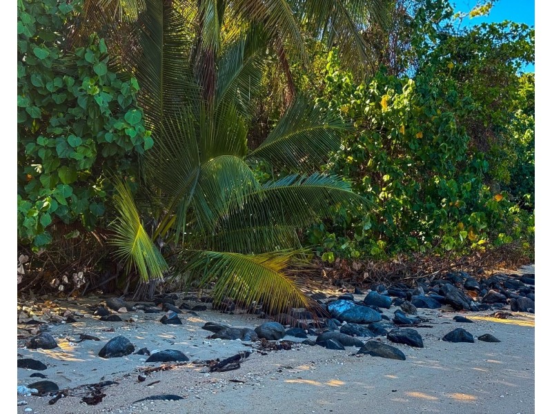 Timana Island, Dunk QLD 4852