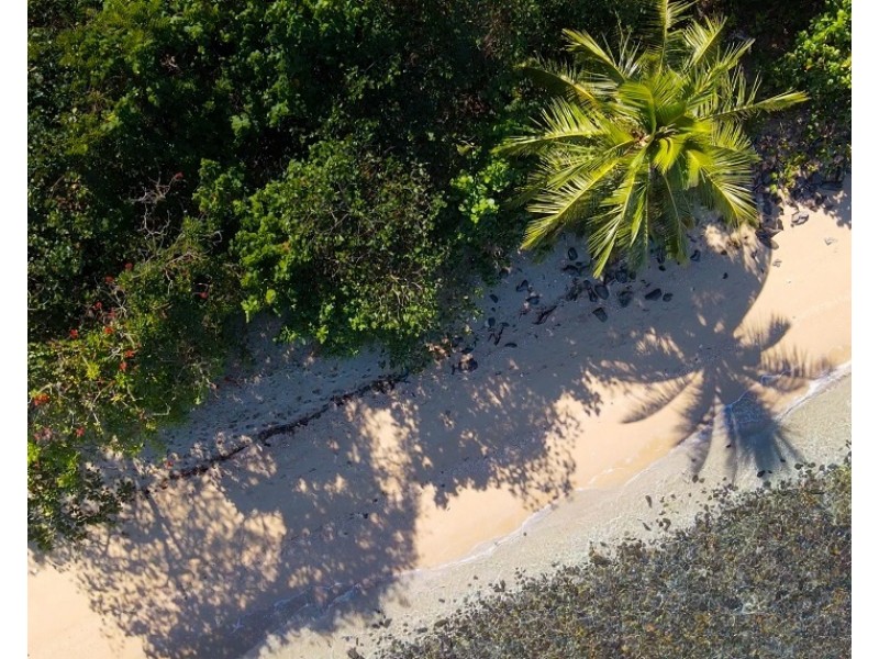 Timana Island, Dunk QLD 4852