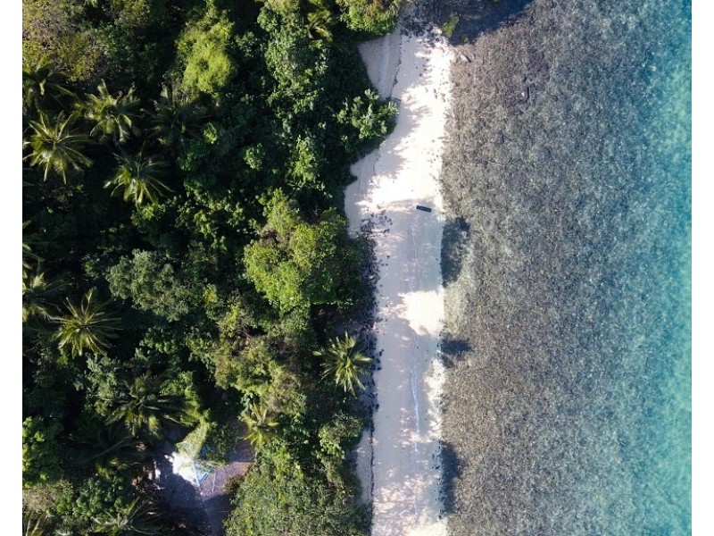 Timana Island, Dunk QLD 4852