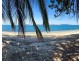 Timana Island, Dunk QLD 4852