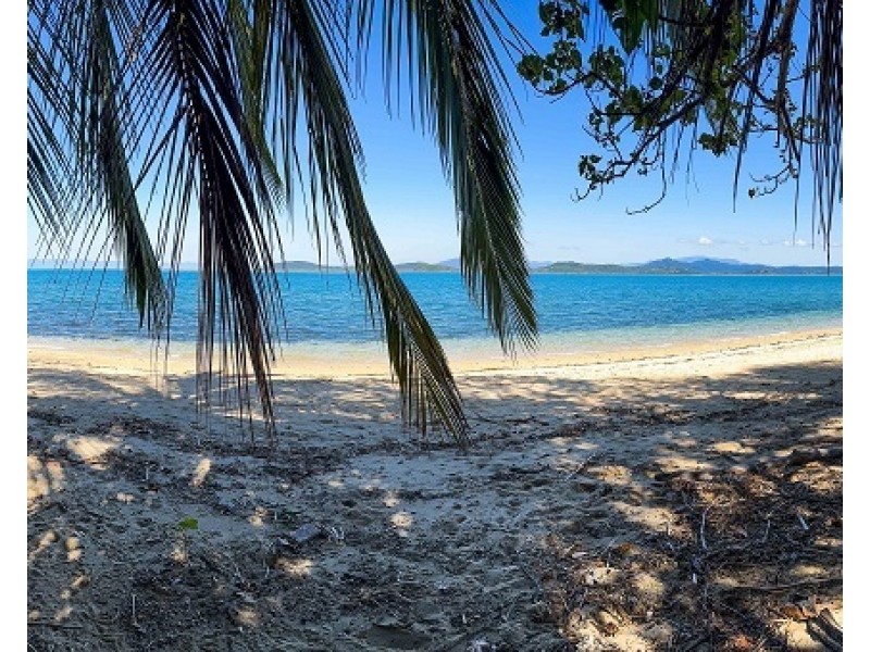 Timana Island, Dunk QLD 4852