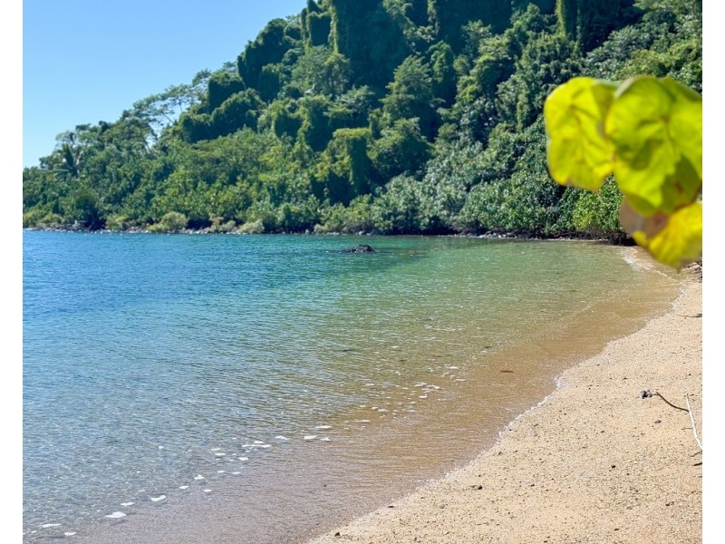 Timana Island, Dunk QLD 4852