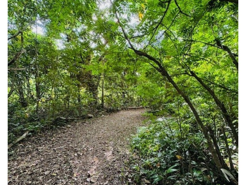 22 Cutten St, Bingil Bay QLD 4852