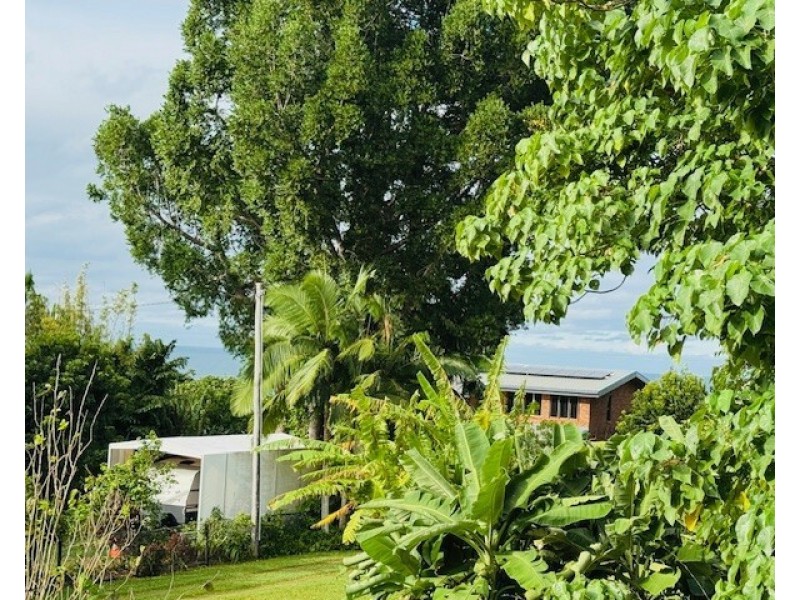 22 Cutten St, Bingil Bay QLD 4852