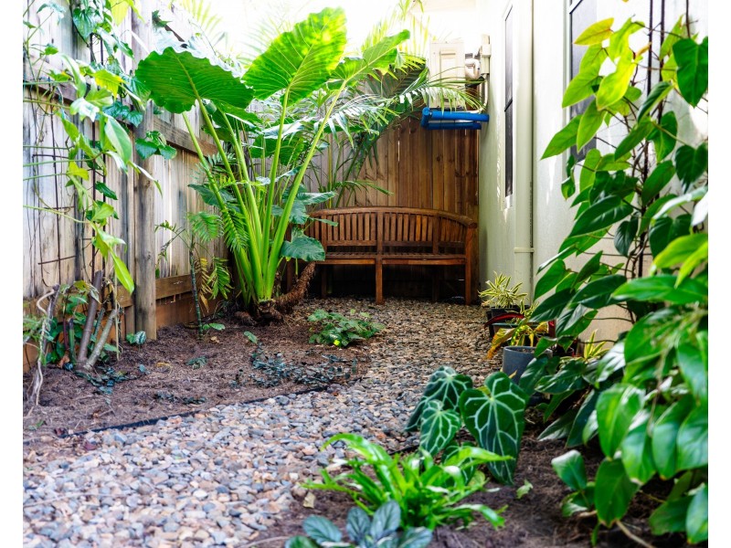 2 Sandpiper Cl, Mission Beach QLD 4852