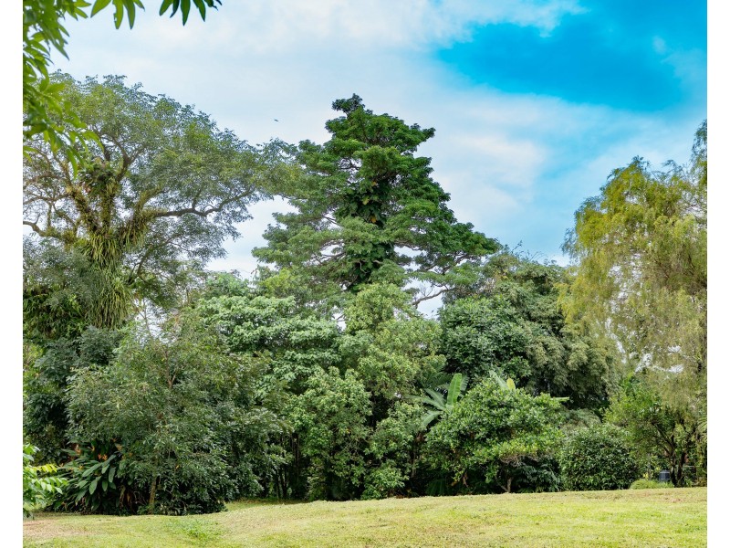 62 Mission Dr, South Mission Beach QLD 4852